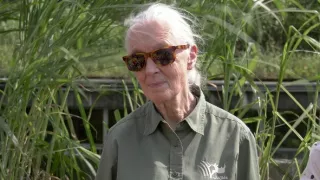 Jane Goodall - nová generácia