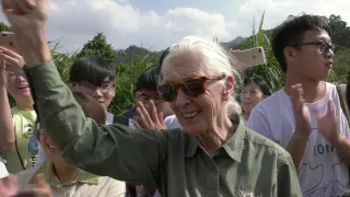 Jane Goodall - nová generácia