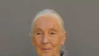 Jane Goodall - nová generácia