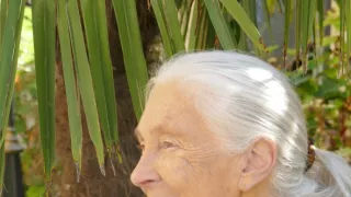 Jane Goodall - nová generácia