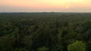 Ekvádor, krajina driemajúcich obrov