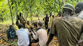 Ve stínu kakaovníku