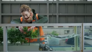 Až oceány pohltí naše města