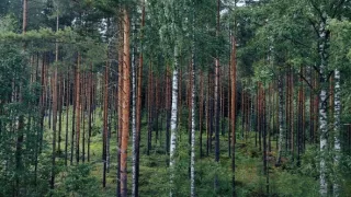 Finsko z výšky