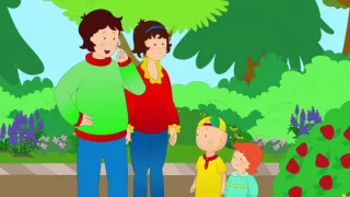 Caillou: Nová dobrodružství (25)