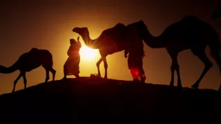 Tajomstvá skryté v piesku (1/6)