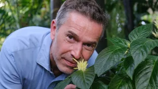 Antropocén: Na scénu vstupuje človek (1)