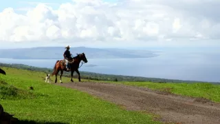Havaj, cesta ku koreňom
