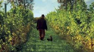 Krásy severní Evropy