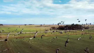 Krásy severní Evropy