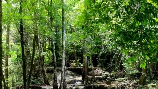 Na cestě po Kanchanaburi