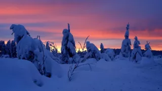 Biela zima v horách Európy