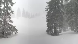 Biela zima v horách Európy