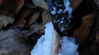 Biela zima v horách Európy