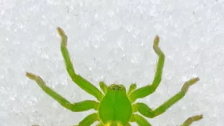 Biela zima v horách Európy