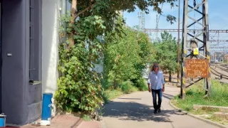 Ikony Kamila Střihavky