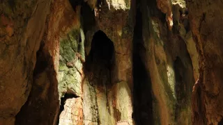 Vietnamská váka, Historie a důsledky (2)