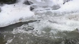 České počasie (9/10)