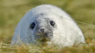 Zrodení počas búrky (3)