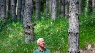 Boží dar - príbehy českých potravín (2/9)