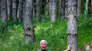 Boží dar - príbehy českých potravín (2/9)