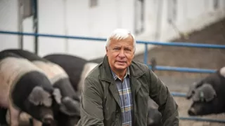 Boží dar - príbehy českých potravín (2/9)