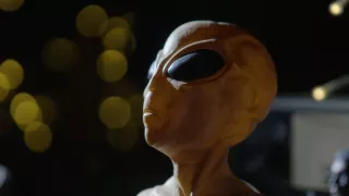 Blízke stretnutia u protinožcov (5)