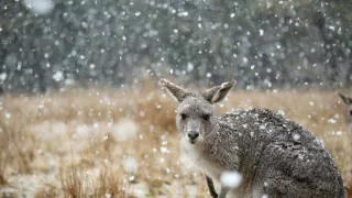 Sedm světů, jedna planeta (3)