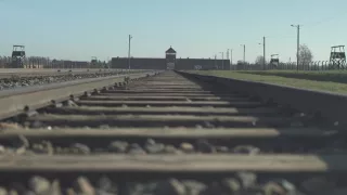 SS: Stát ve státě