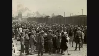 SS: Stát ve státě