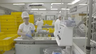 Industria (9/12)