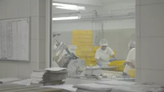 Industria (9/12)