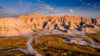 Divocí a unikátní