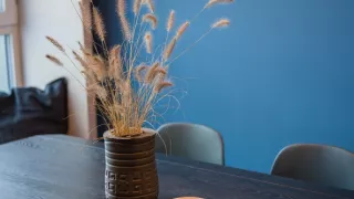 Bydlet jako... vášnivá hráčka