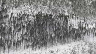 Všetky krásy Yellowstonu