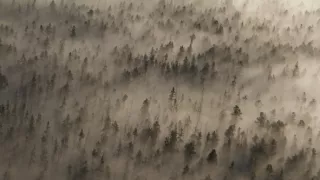 Všetky krásy Yellowstonu