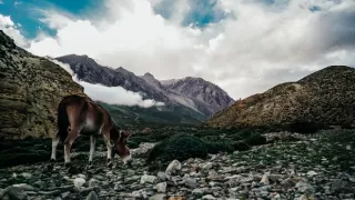 Dobrodružné výlety II (6)