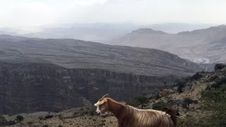 Dobrodružné výlety II (6)