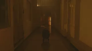 Efeméry