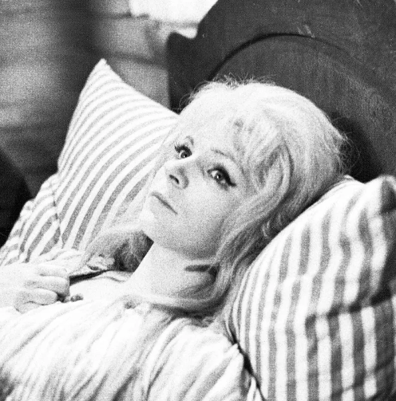 Princezna Pampeliška, 1967 - fotogaléria