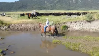 Střet o novou Ameriku