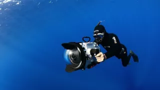 Úžasný mořský život