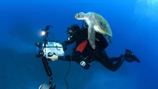 Úžasný mořský život