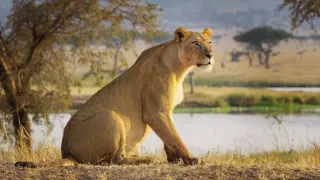 Zázračná planéta: Serengeti II (2/6)