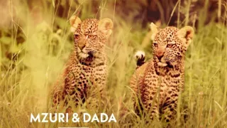 Zázračná planéta: Serengeti II (2/6)