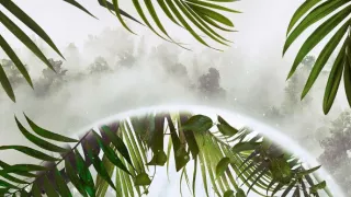 Zázračná planéta: Serengeti II (2/6)