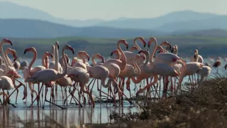 Divoké Španielsko (2/2)