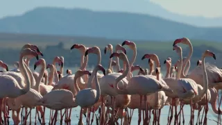 Divoké Španielsko (2/2)