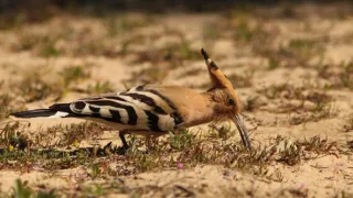 Divoké Španielsko (2/2)