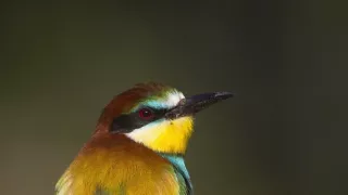 Divoké Španielsko (2/2)